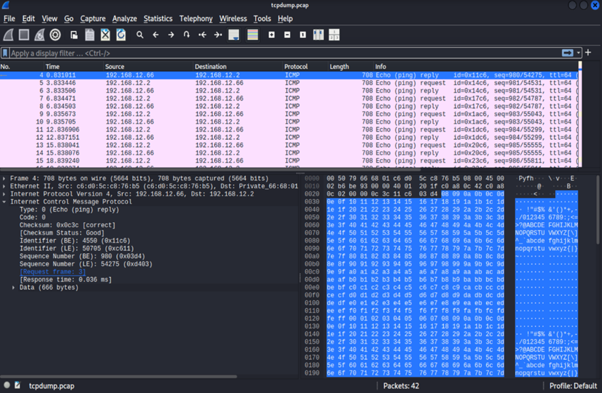 Wireshark showing ping packets