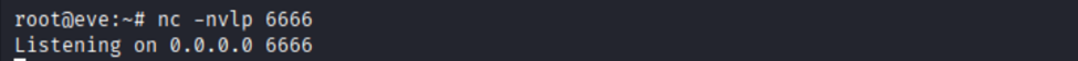 Netcat listener